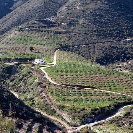 Cortijo El Rancho Villa Albanchez Buitenkant foto
