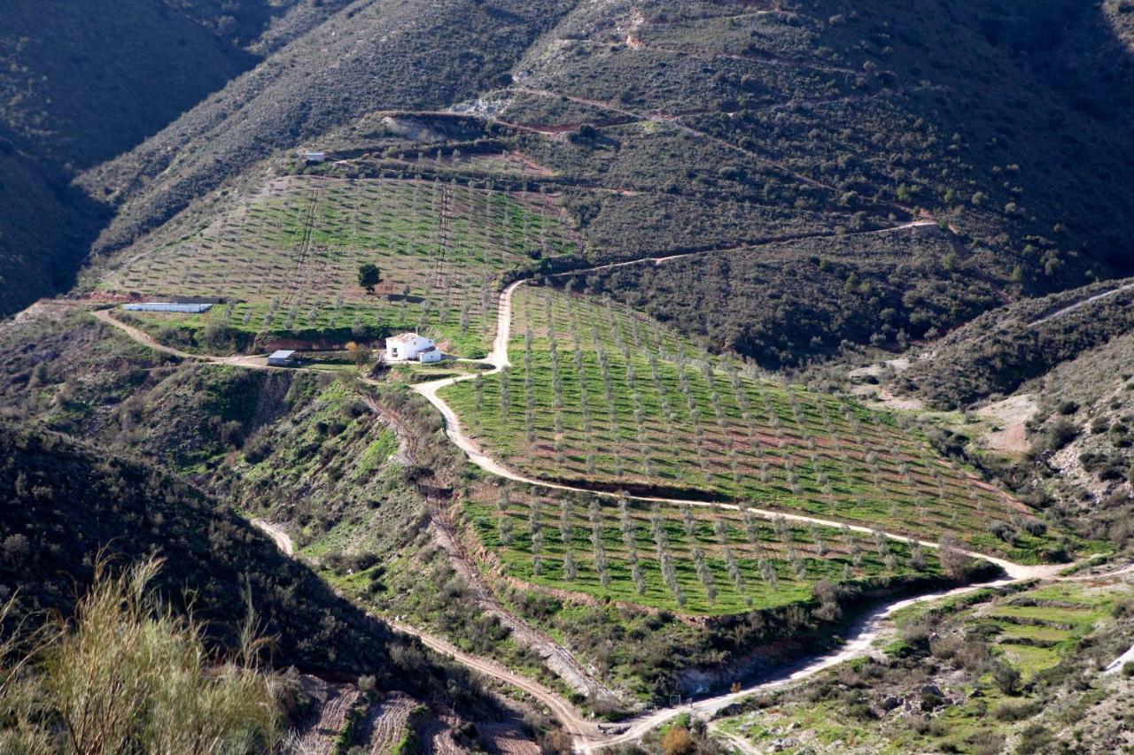 Cortijo El Rancho Villa Albanchez Buitenkant foto