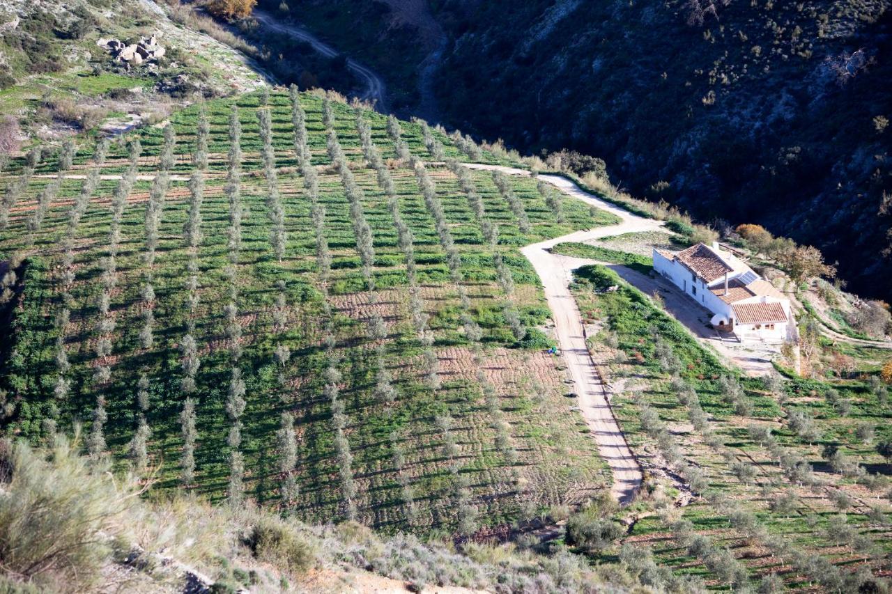 Cortijo El Rancho Villa Albanchez Buitenkant foto
